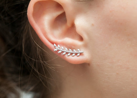 Boucles d'oreilles montantes en argent