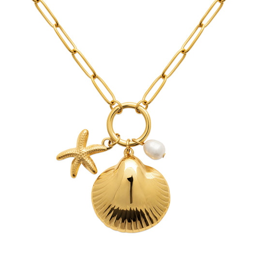 Collier chaine coquillage étoile en acier doré